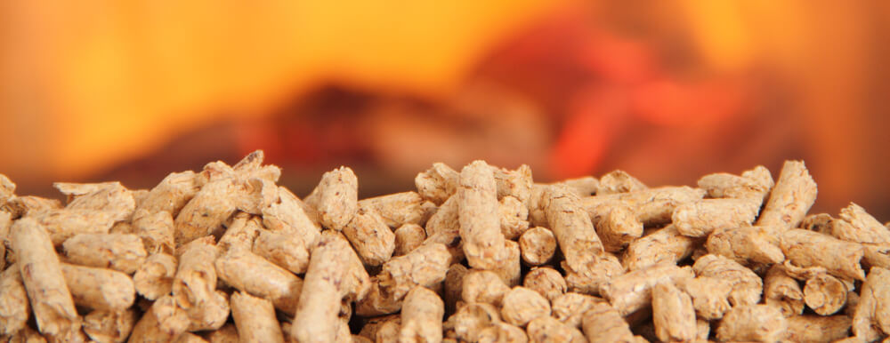 pellet